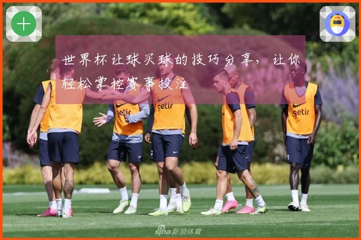 世界杯让球买球的技巧分享，让你轻松掌控赛事投注