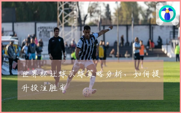 世界杯让球买球策略分析，如何提升投注胜率