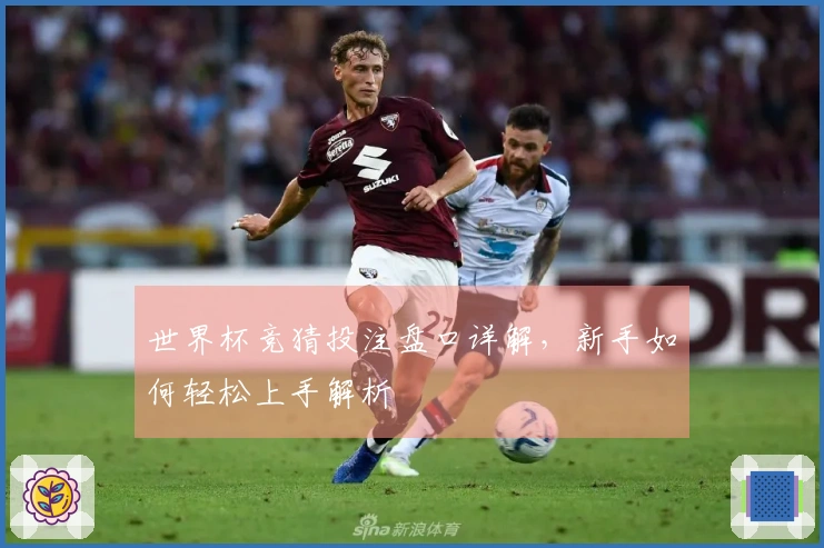世界杯竞猜投注盘口详解，新手如何轻松上手解析