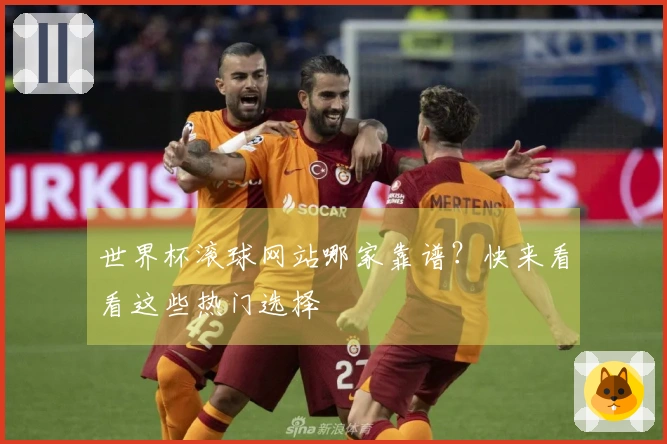 世界杯滚球网站哪家靠谱？快来看看这些热门选择