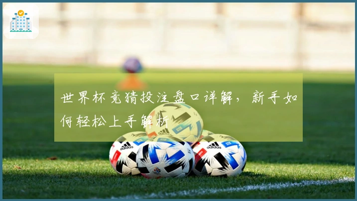 世界杯竞猜投注盘口详解，新手如何轻松上手解析