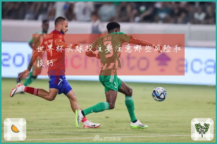 世界杯买球投注要注意哪些风险和技巧