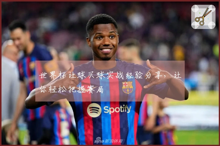 世界杯让球买球实战经验分享，让你轻松把握赛局