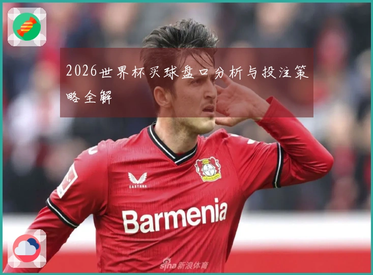 2026世界杯买球盘口分析与投注策略全解