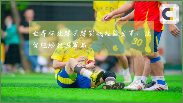 世界杯让球买球实战经验分享，让你轻松把握赛局