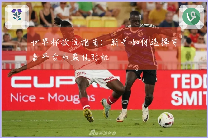 世界杯投注指南:新手如何选择可靠平台和最佳时机