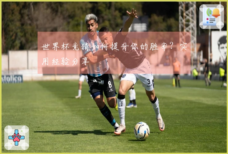 世界杯竞猜如何提升你的胜率？实用经验分享