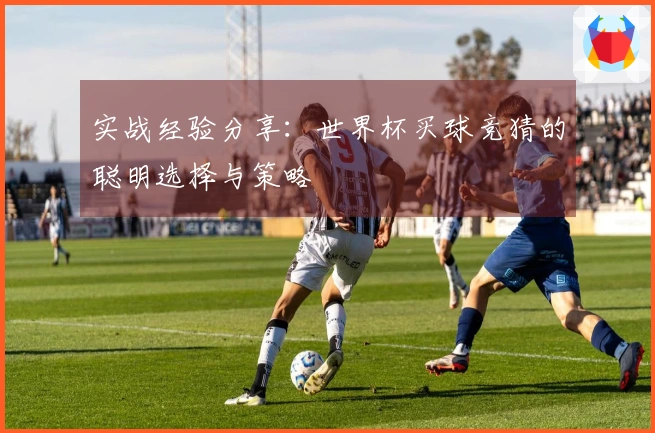 实战经验分享：世界杯买球竞猜的聪明选择与策略