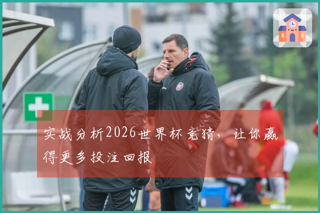 实战分析2026世界杯竞猜，让你赢得更多投注回报