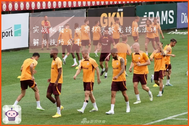 实战秘籍：世界杯买球竞猜玩法详解与技巧分享