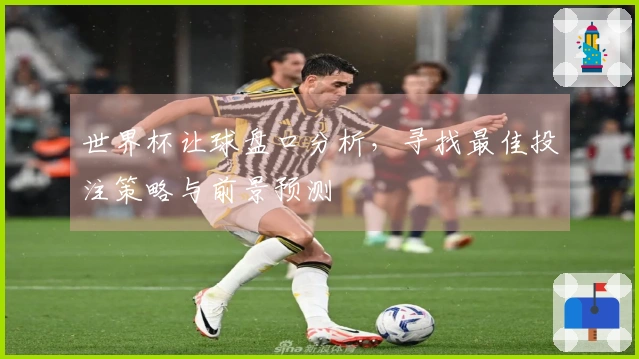 世界杯让球盘口分析，寻找最佳投注策略与前景预测