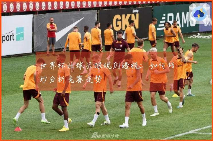 世界杯让球买球规则透视:如何巧妙分析竞赛走势