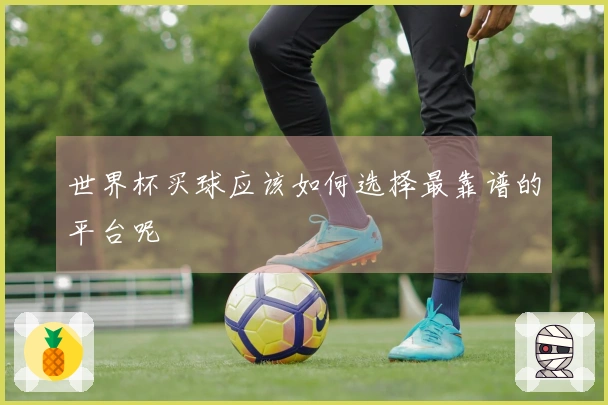 世界杯买球应该如何选择最靠谱的平台呢